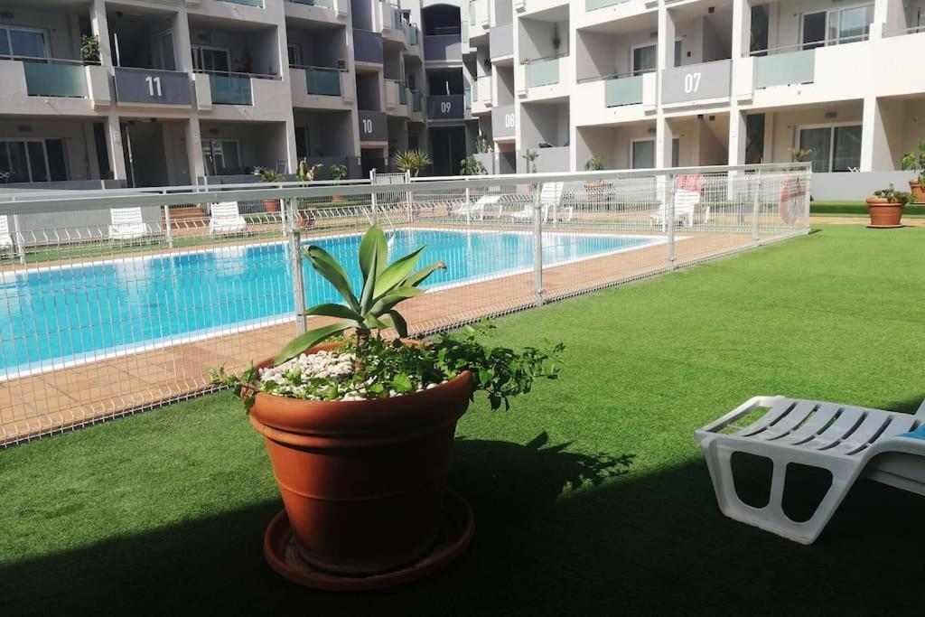 Blue Ocean Corralejo: Sunny Terrace, Pool, Wifi Apartment Exterior photo